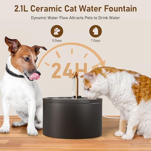 Ceramic Cat Water Fountain