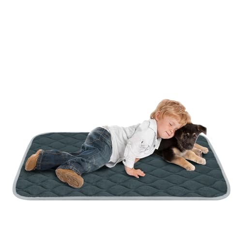 Dog Bed Mat Crate Pad (48.0"L x 30.0"W x 0.7"Th / Grey Mat)