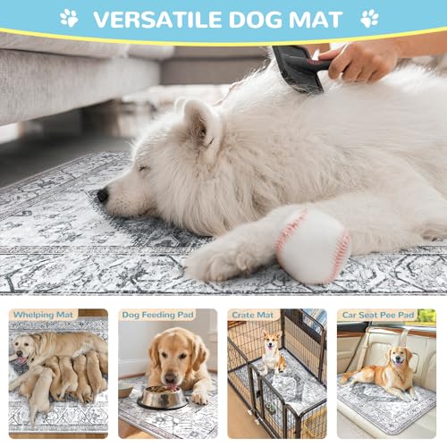 Reusable Washable Puppy Pads (Gray / 3FT x 4FT (Pack of 2))