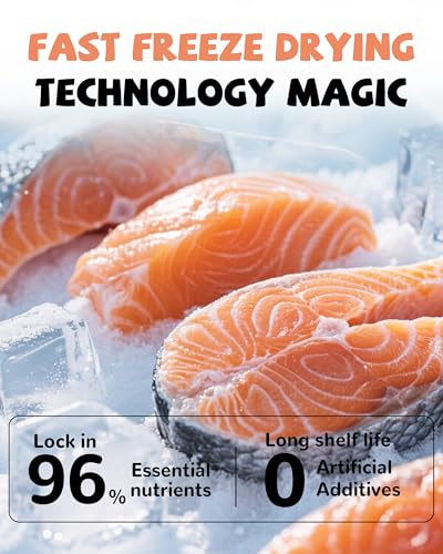 Freeze Dried Salmon Dog Treats