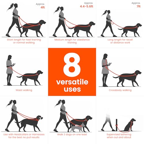 Multifunctional Adjustable Hands Free Leash (Black / UltraLight)