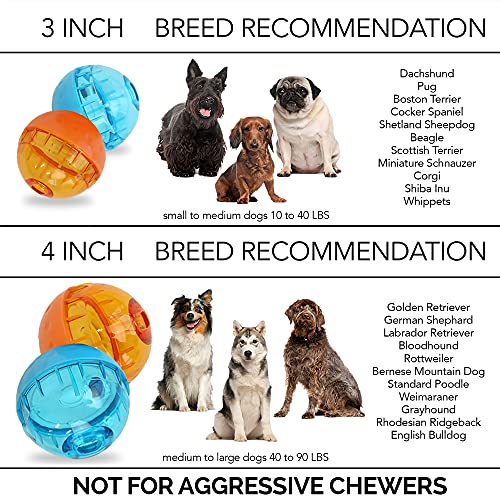 OurPets IQ Treat Ball Food Dispensing Dog Toy (3 INCH)