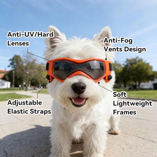 Medium Dog Goggles for Medium Breed UV (Medium / Orange)