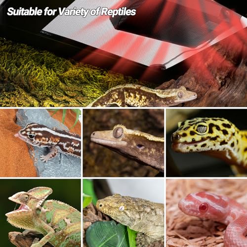 Reptile Heat Panel Adjustable Temperature Reptile Heating Plate (6" X 9")