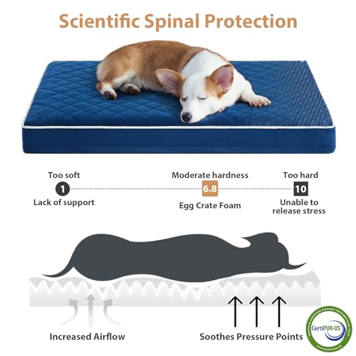 Orthopedic Waterproof Dog Bed Medium for Comfy Sleeping (Blue / 30"L x 20"W x 3"Th)