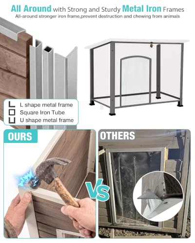 Dog House Outdoor