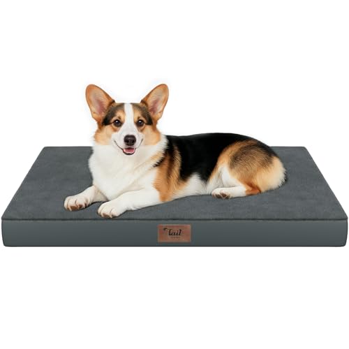 Outdoor Waterproof Orthopedic Dog Bed for Large Dogs (Dark Gray / 36.0"L x 27.0"W x 3.0"Th)