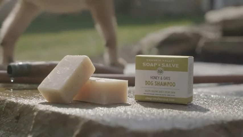 Certified Organic Dog Shampoo and Conditioner