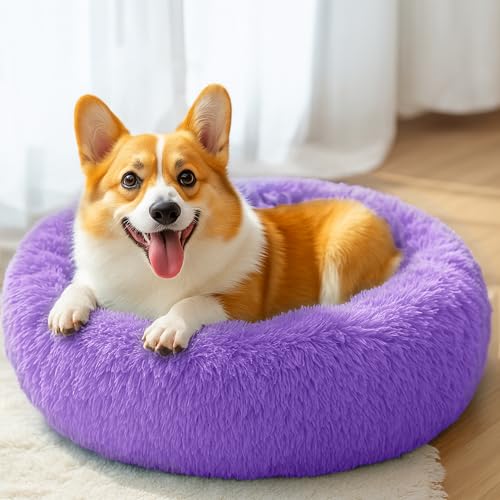 28in Large Dog Bed (Purple / 28.0"L x 28.0"W x 8.0"Th)