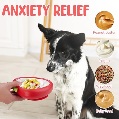 Freeze Dog Lick Bowl (L / B- Red)