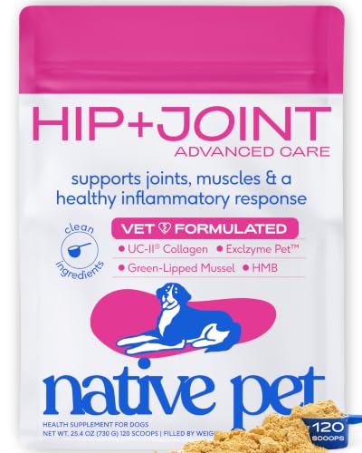 Hip & Joint Advanced Care Dog Joint Supplement Powder for Mobility & Movement Support (120 Count)