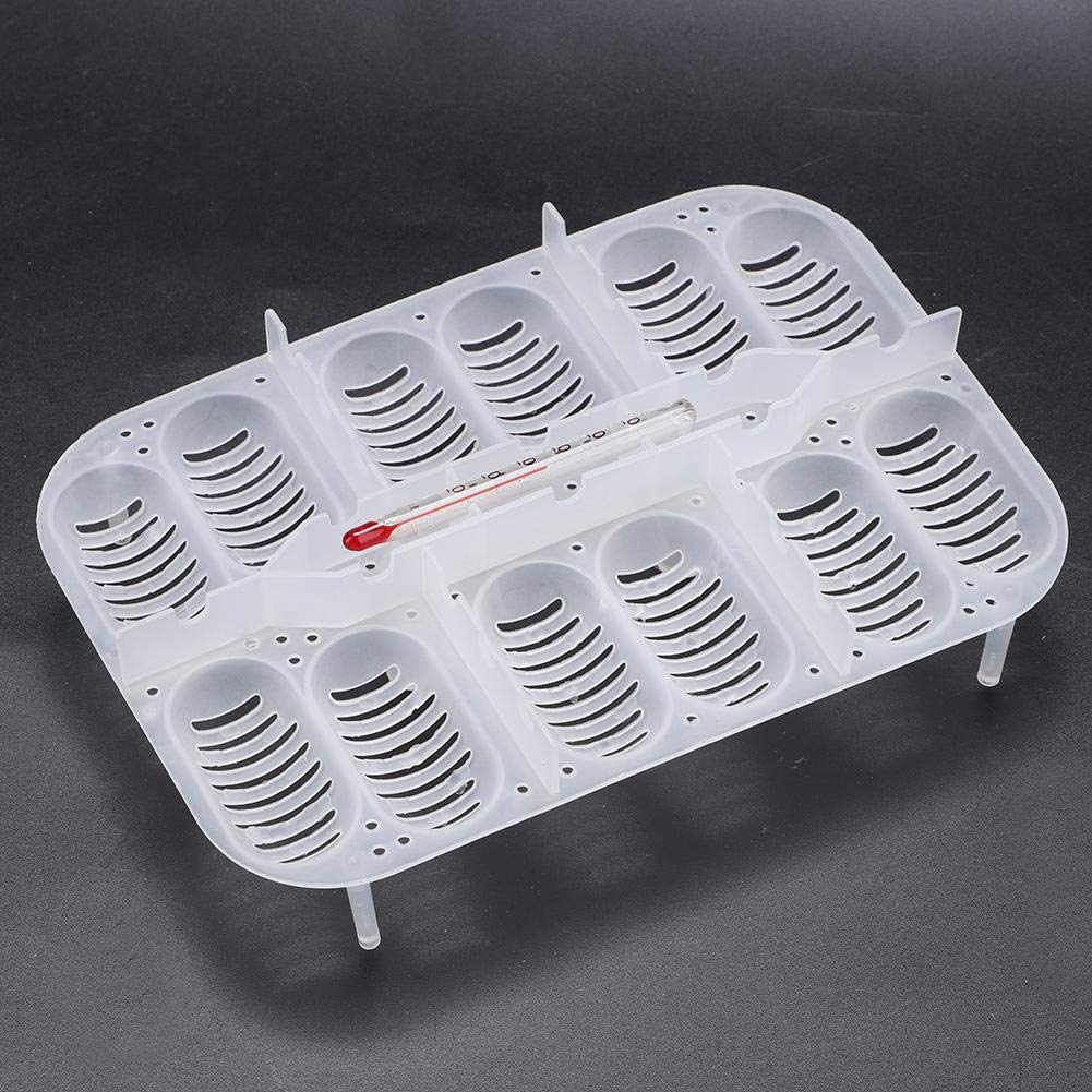 Reptile Breeding Box