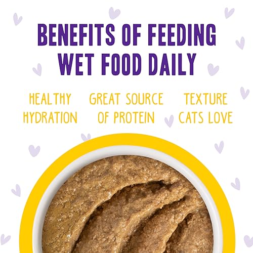 B.F.F. Play Best Feline Friend Paté Lovers (3 Ounce (Pack of 12))