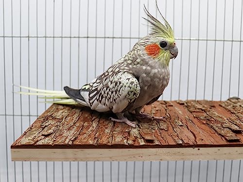 13.6 × 7.9 inch Large Bird Perch Stand Platform (13.6 × 7.9 inch)