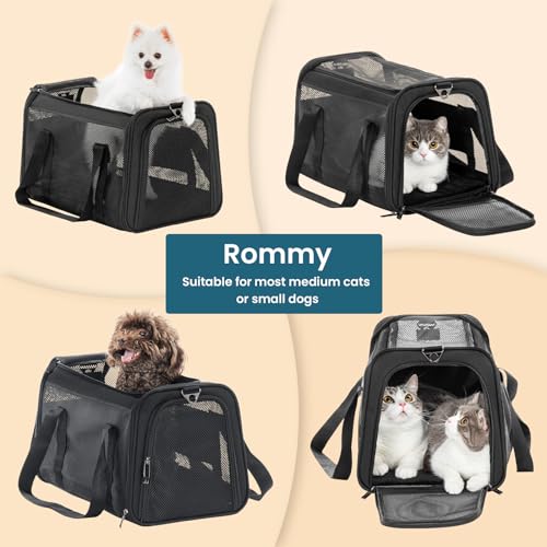 19 x 12 x 12 Large Cat Carrier (19.0"L x 12.0"W x 12.0"H / Z-Black)