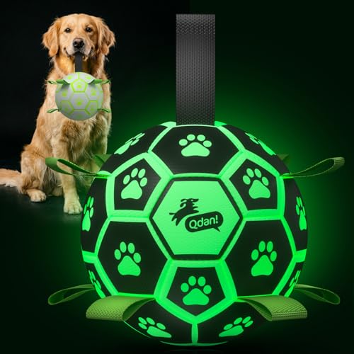 Glow in The Dark Dog Toys (Light Up Ball / 8 Inch)