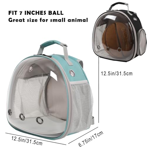 Bearded Dragon Travel Backpack with Harness and Leash Set (Green)