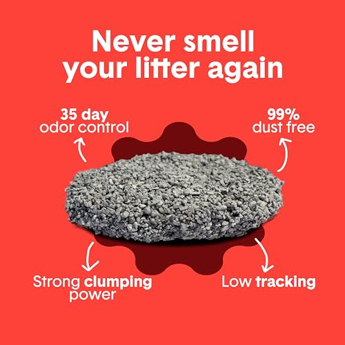 Boxie Extra Strength Clumping Cat Litter Multi Cat 35 Day Odor Control 16lb (16 lb)