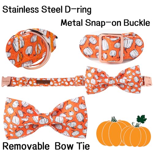 Halloween Day Dog Collar with Bow Line Pumpkin Cotton Dog Collars for Small Medium Large Dogs (Extra Small / Line pumpkin)