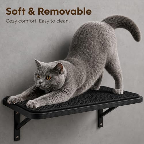 Cat Wall Shelves Set of 2 (2PCS Shelf with Black Sisal)