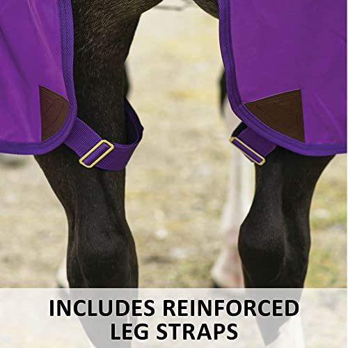 Dura Nylon Horse Stable Sheet (Horse Size 84 / V-Free | Closed Front | Legstrap / Royal)