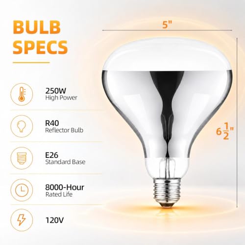 250W Clear Heat Lamp Bulbs (White / 6 Pack)