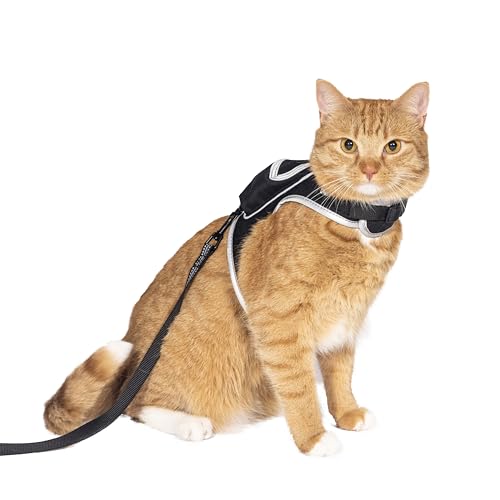 Travel Cat & Stray Cat Harness and Leash Set (LARGE: 13-16 IN)