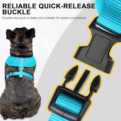 Small Dog Harness (M (NECK: 14", CHEST: 17"-21") / Royal Blue)