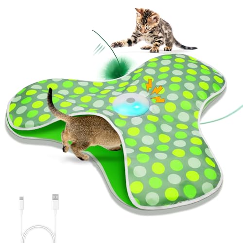 Interactive Cat Toys for Indoor Cats (Green)