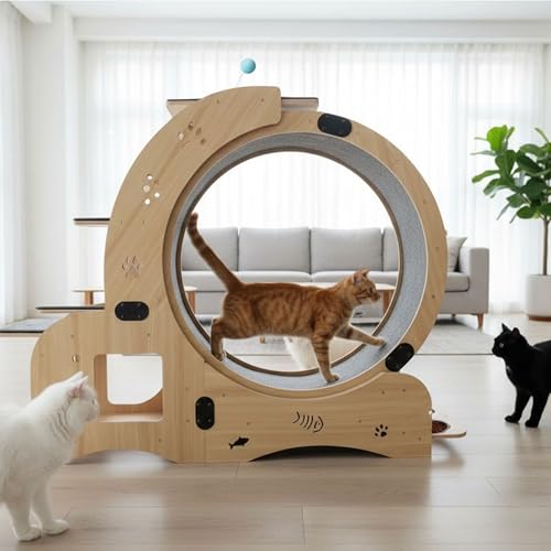 55" cat Wheel