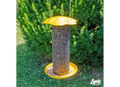 Small Songbird (5 Pound (Pack of 1))