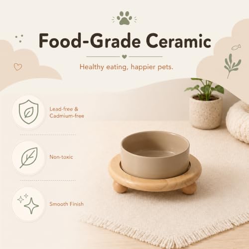 Raised Cat Bowl 6.1” Elevated Ceramic Cat Food and Water Bowl (Greige)