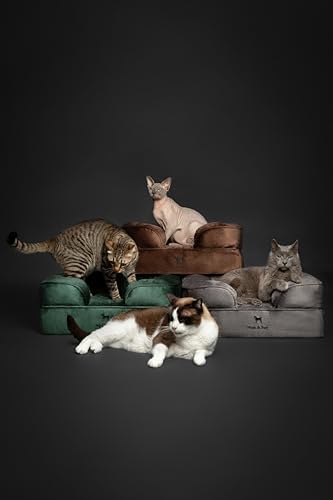 Cat Bed XS Dog Bed (Brown - VE / Small)
