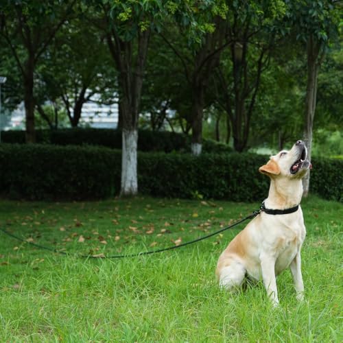 Long Dog Leash (Navy Blue / 10FT*0.4" Single Handle)