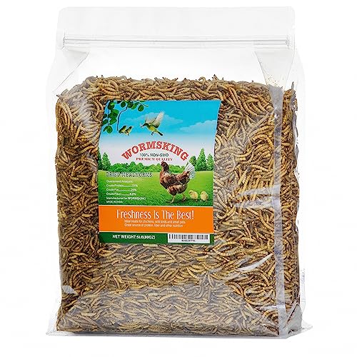 5LB Dried Mealworms