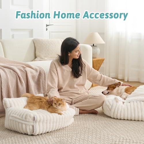 Cute Cat Bed with Removable Cover (Cream / Medium: 32'' x 24'')