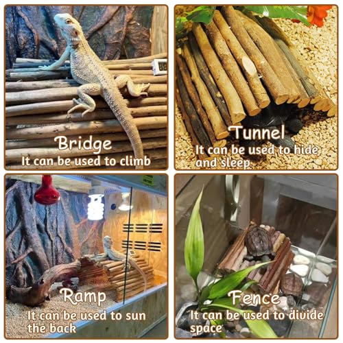 18.89"x 12.99" Reptile Hideout Wooden Bridge Lizard Hide Caves Bearded Dragon Habitat Accessories for Gecko Snake Frog Chameleon Iguana Tortoise