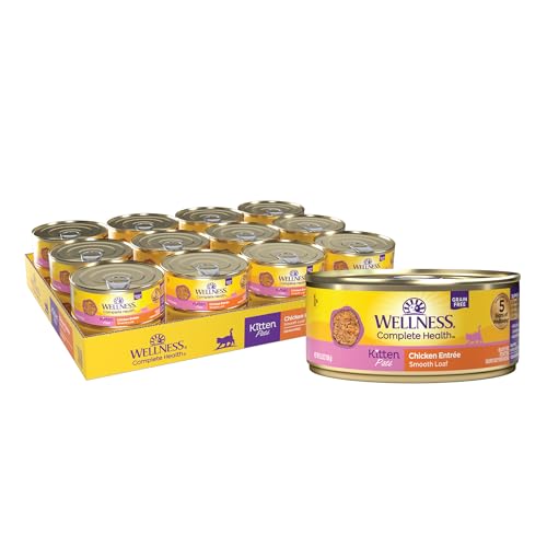 Complete Health Pate Kitten Canned Wet Cat Food (5.5 Ounce (Pack of 24))