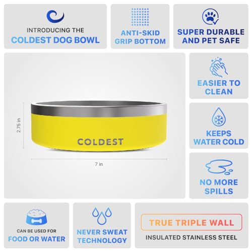 Coldest Dog Bowl (42 oz / Solar Yellow)