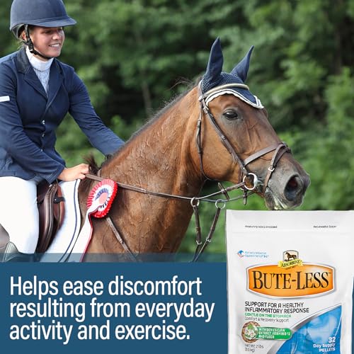 Bute Less Comfort & Recovery Supplement Pellets (32 oz)