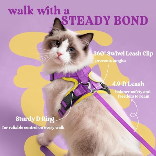 Cat Harness and Leash Set (Xs / Purple & Yellow)