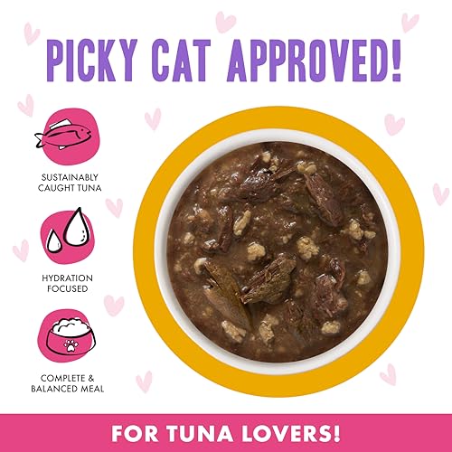 B.F.F. OMG Best Feline Friend Oh My Gravy! (3 Ounce (Pack of 12))