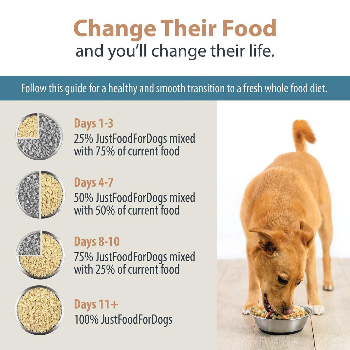 Pantry Fresh Wet Dog Food (12.5 Ounce (Pack of 12))