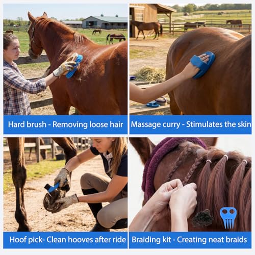 13 Piece Horse Grooming Kit (Blue)