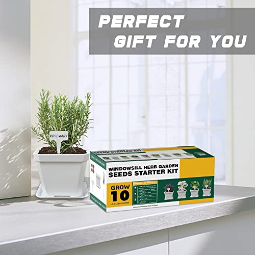 10 Herb Seeds Garden Starter Grow Kit with White Pots (White)