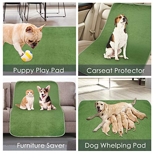 Washable Pee Pads for Dogs (65"x48" -1 Pack / Green)