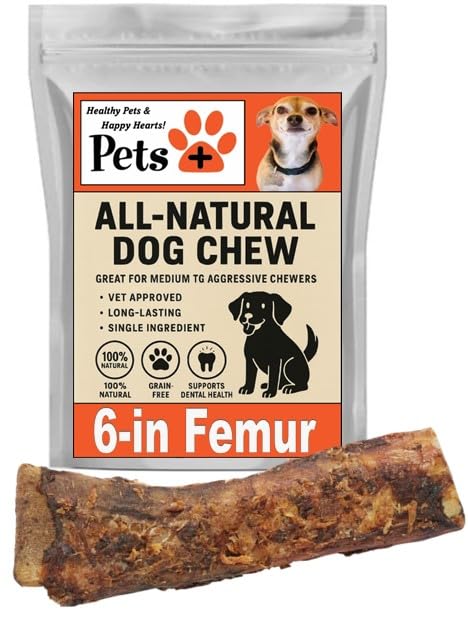 Pets Plus Premium Dog Treat (1 Ounce (Pack of 1))