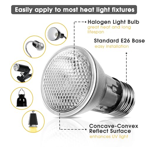 Reptile Heat Bulb (Warm Bulb 75w / 2 Pack)