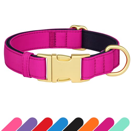Soft Padded Dog Collar for Medium Dogs (Rose Purple / M：Fit 14-18" Neck, Width ¾")
