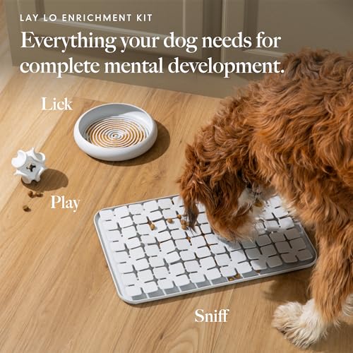 Treat Dispensing Dog Toy